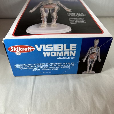 Skilcraft Visible Woman Anatomy Model Kit Complete NIB | eBay