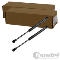 2X NTY Gasfedern KOFFERRAUM-LIFTER Passend FüR Fiat Linea | AE-FT-012