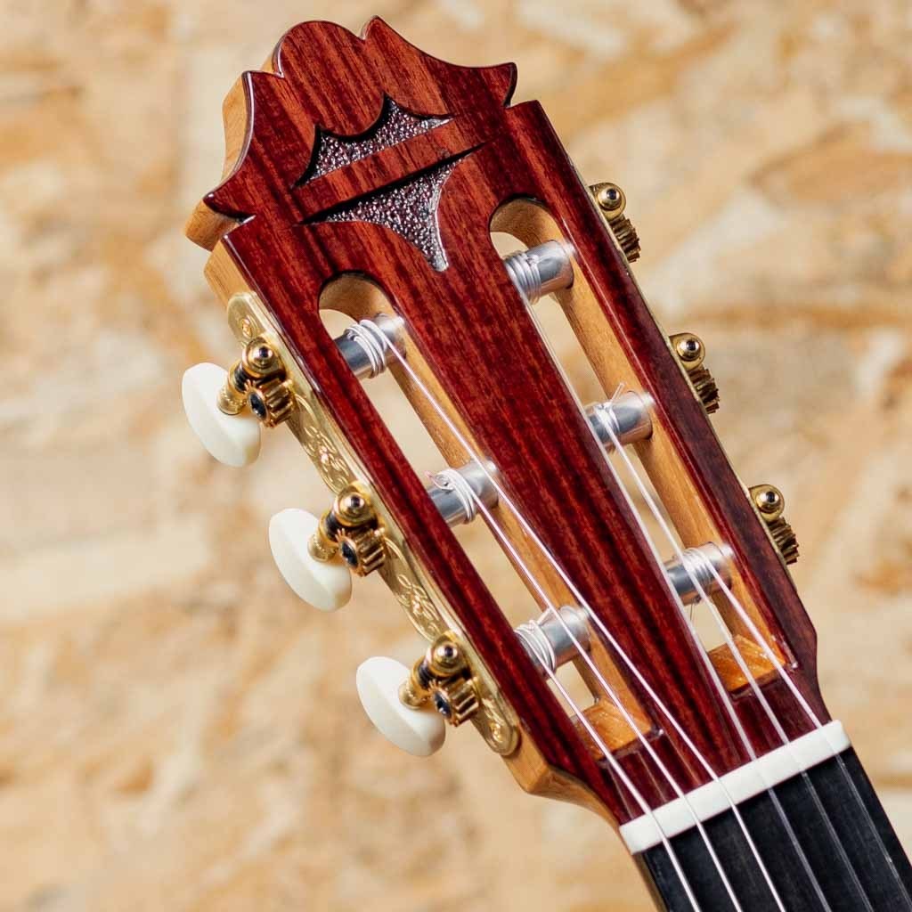 【Hideyuki 】AXIS V intage Sunburst【Kanai】 DY1_Sunburst_Back-Right_3-4-1.png
