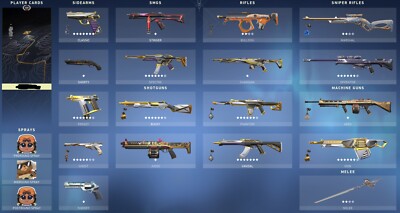 Valorant Account (silver 1, 5 knives, full access, 30+ skins)
