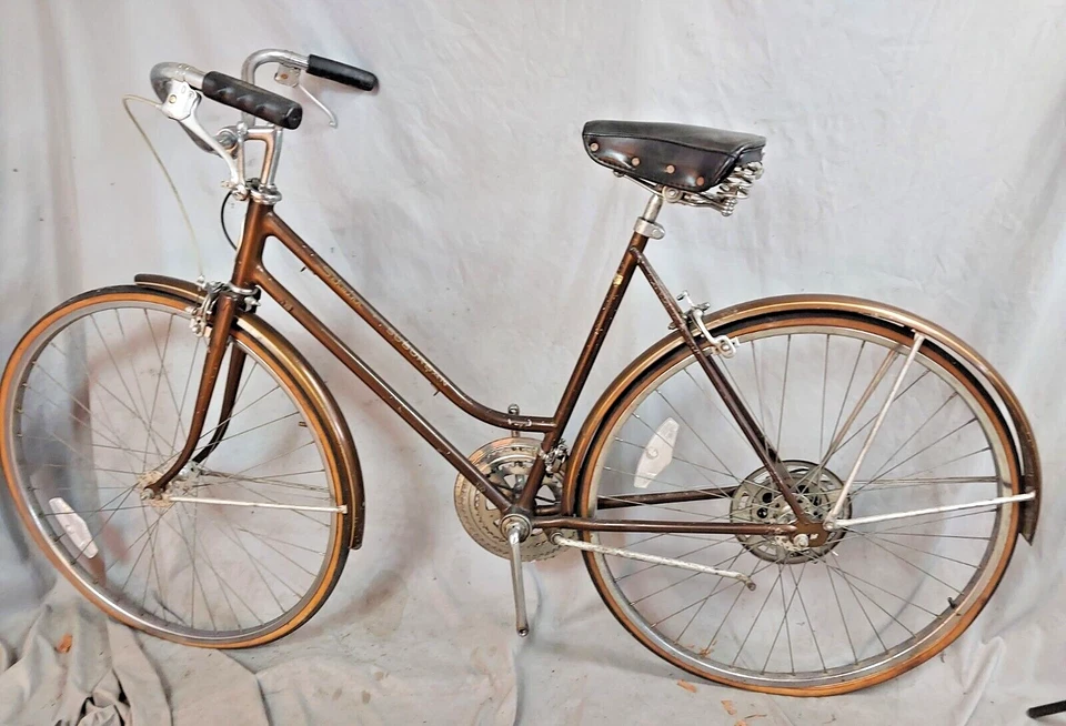 Bicicleta de crucero Schwinn Suburban 1977 vintage 53 cm pequeña 10 velocidades acero remitente de EE. UU. Foto 2 de 4