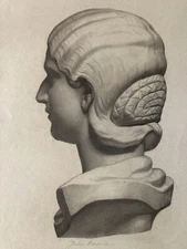 Very beautiful charcoal drawing XIXth 1872 head bust woman hair bun to identify