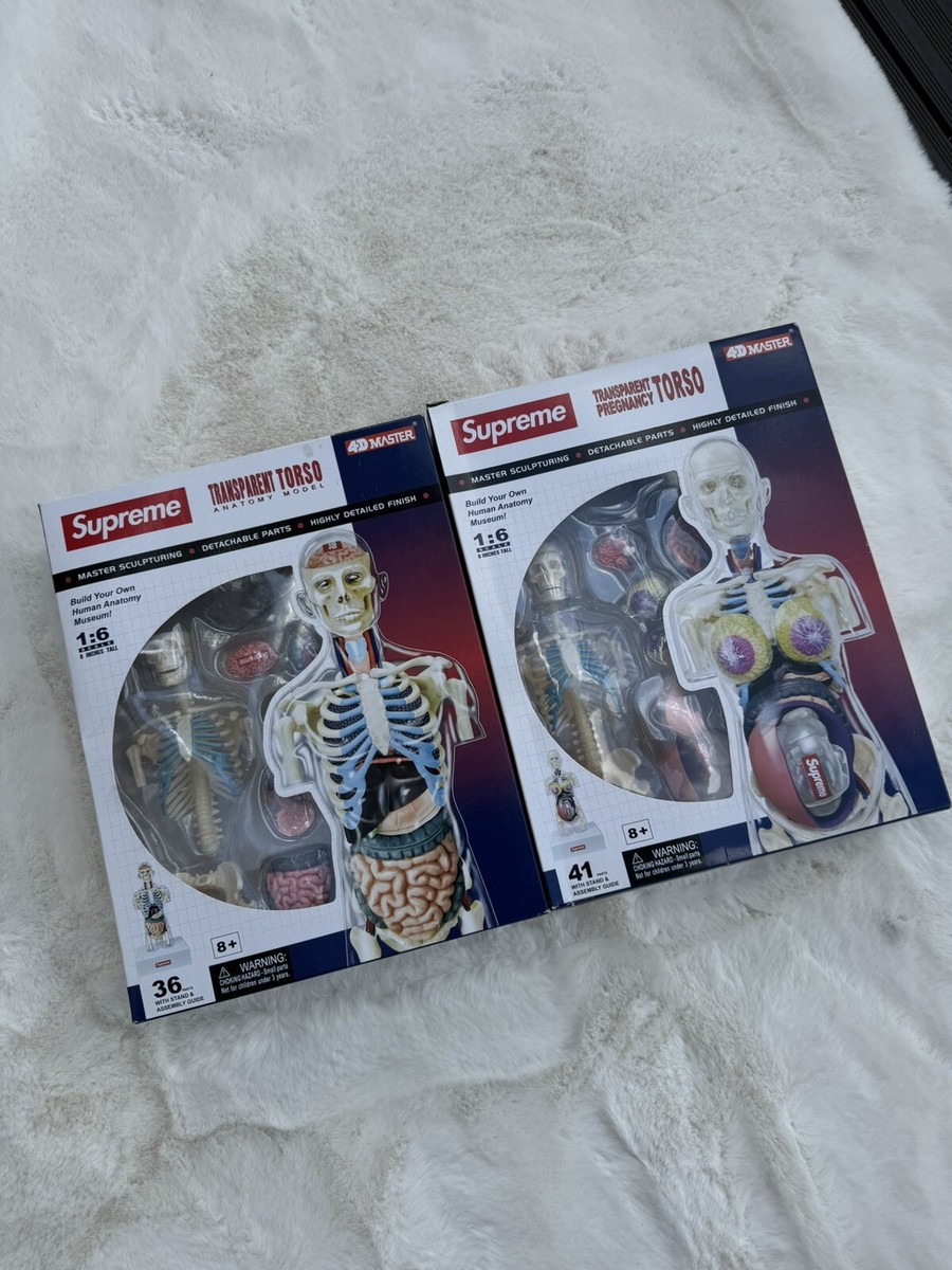 SUPREME Male & Female Anatomy Model Set Red | 2018 | 4D Human RARE