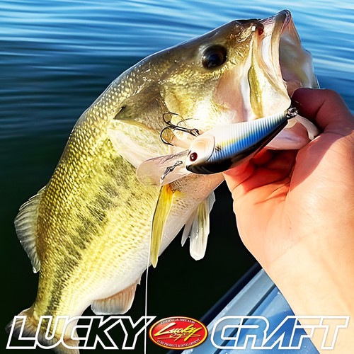 LUCKY CRAFT LC 1.5DD - 188 TO Green Craw (1qty) Top Quality Deep Crank - Picture 7 of 7