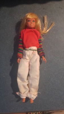 barbie's little sister skipper