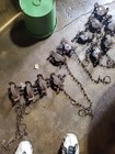 10 Vintage Victor 1.5 Coilspring Traps Muskrat Mink Racoon