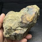Foto 11 di 11