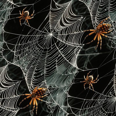 Spider Webs 55 - 16'' x 48'' Hydrographic Film Hydro Dipping