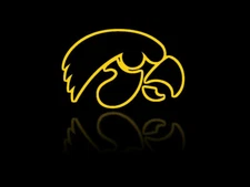 NEW IOWA Hawkeyes ALUMNI w/ AUTO, RCs, #d - YOU CHOOSE! .. 10+ FREE S/H