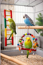 Navaris Vogelspielzeug Set &ndash; Schaukel & Leiter f&uuml;r Wellensittiche Papageien bunt