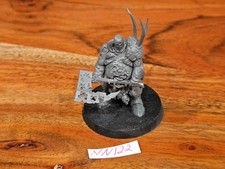 Warhammer Fantasy AOS Maggotkin of Nurgle Lord of Plagues NN122
