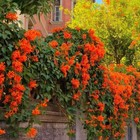 Bild 9 von 21