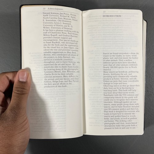 The Audubon Society Field Guide To North American Insects And Spiders Book 1984 - Afbeelding 3 van 24