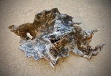 Natural Driftwood Terrarium Reptile Decor 13" x 8"