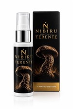 Nibiru Secretul Lui Terente