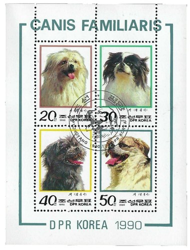 Dog,Puppy,Loyal Dogs of Korea,Korean Local Dog,Korea 2021 Full