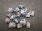Foto 3 di 3