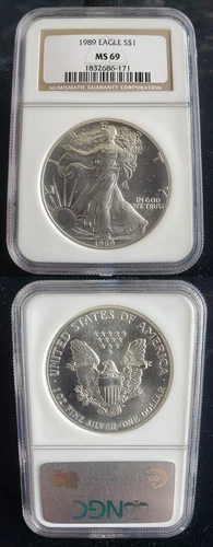 1989 American Silver Eagle 1 Oz Graded NGC MS69 Brown Label 24373