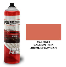 Dull Matt Paint RAL Colours Aerosol Spray Touch Up Metal Wood Plastic PVC Can