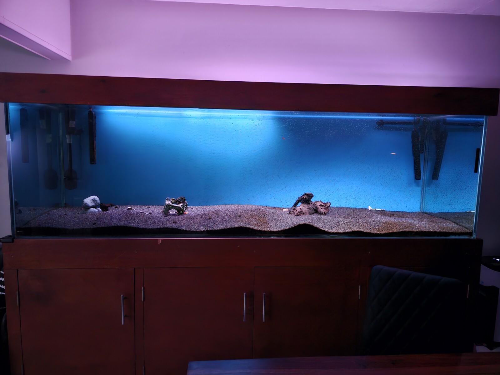 8FT Fresh water Aquarium Fish Tank eBay