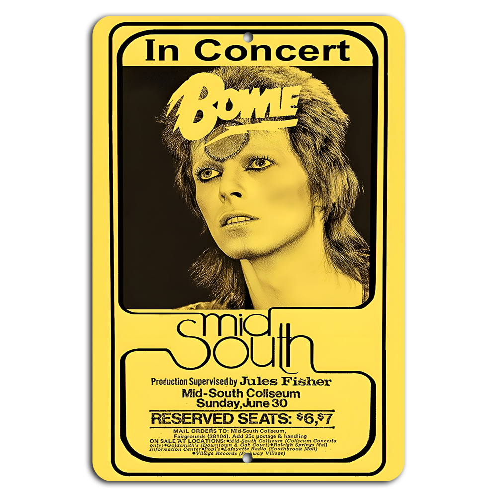 Stardust Spectacle: An Iconic Concert Experience