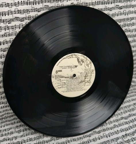 Jimmy Buffet High Cumberland Jubilee White Label PROMO LP Barnaby Records Nice!! - Picture 18 of 19