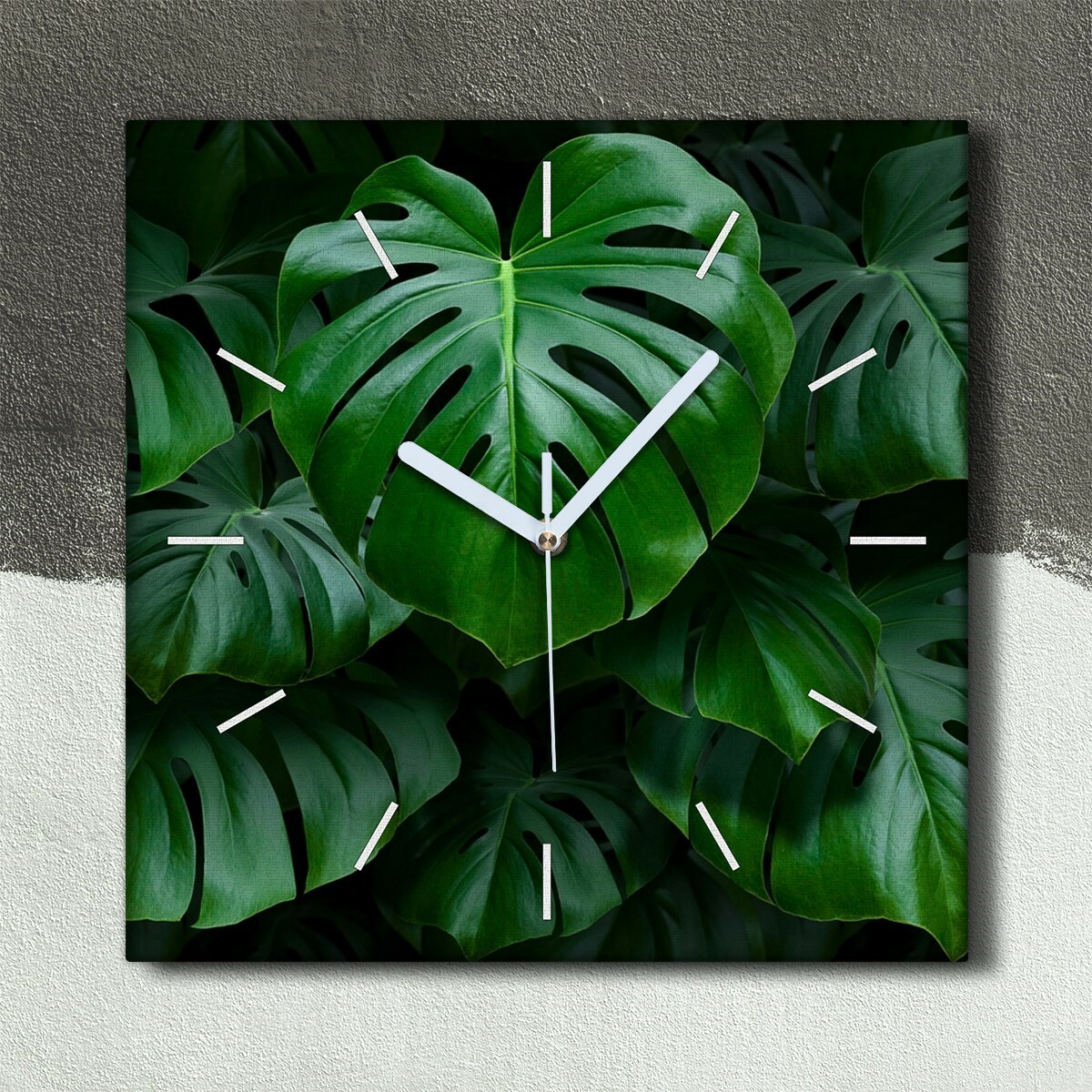 Wohnzimmer-Bild Leinwand Uhr 30x30 Gemlde Blten Pflanzen Monstera Bltter  | eBay.de