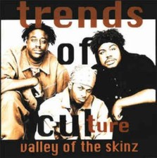 Trends Of Culture: Valley Of The Skinz PROMO MUSIC AUDIO CD Jes Wes Remixes edit