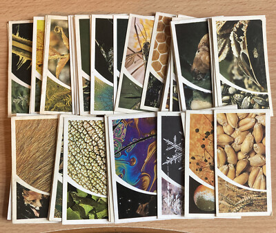 Small Wonders - Brooke Bond Tea Cards - Pick Your Cards