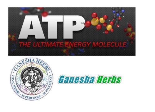 Adenosine Triphosphate Dysodium Sel Atp Poudre 50 Grammes Qualité Pharmaceutique - Picture 2 of 6