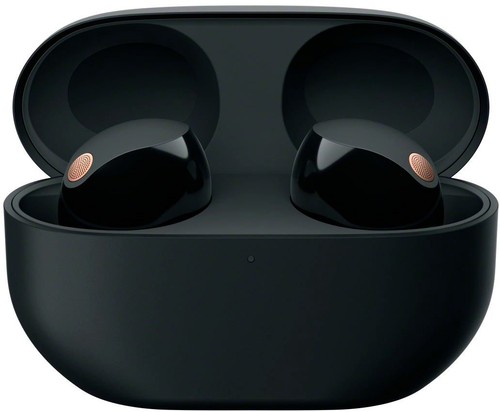 Sony WF-1000XM5 Casque antibruit Bluetooth véritablement sans fil - Noir - Photo 4 sur 8