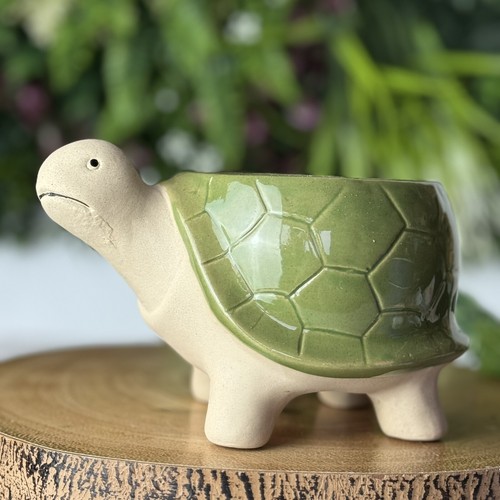 Novelty Tortoise Planter
