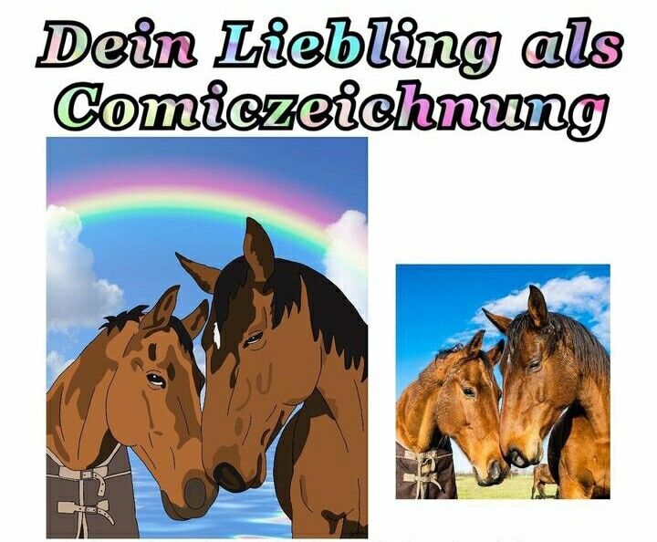 Bild 2 von 6