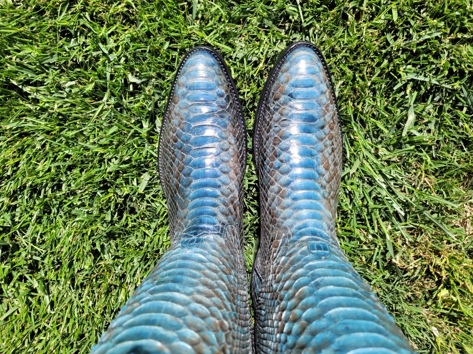 10.5 D ⭐ ANDERSON BEAN ⭐ BLUE ⭐ PYTHON ⭐ SNAKE ⭐ … - image 4