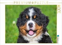 Calvendo Puzzle Curious Little Rascal | 1000 Pieces, Finished Size 25.2 × 18.9 I
