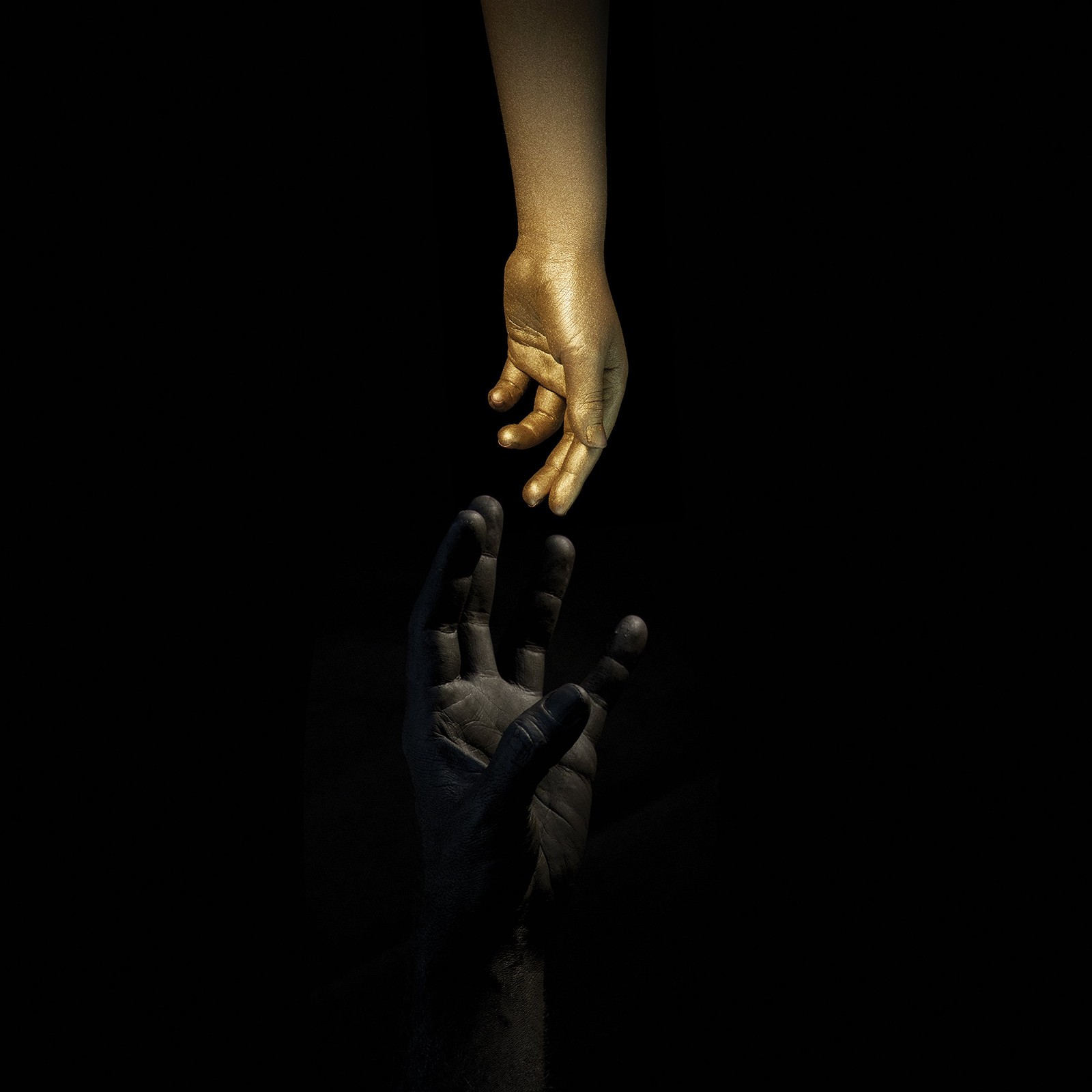 Уилл Хейвен Муэрте (CD)