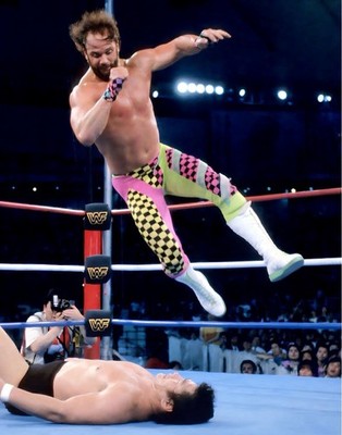 WWE GIANT 24 x36  POSTER - MACHO MAN RANDY SAVAGE