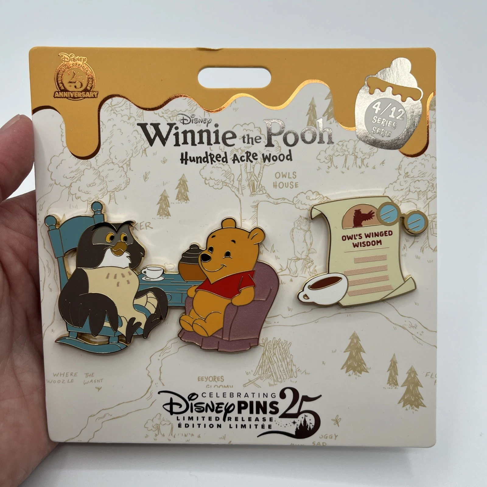 Disney Winnie the Pooh and OWL Hundred Acre Woods Map Pin 100 acre woo 5/12 May