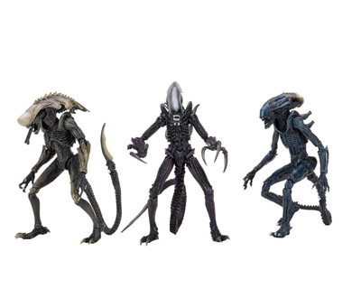 ALIEN VS PREDATOR SET 3-TEILIG RAZOR CLAWS-CHRYSALIS-ARACHNOID ALIEN-22CM-NECA