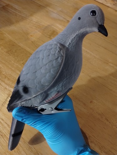 Outdoor Clip-On Molded Dove Decoy Hunting. Attract The Birds!!! - 第 2/4 張圖片