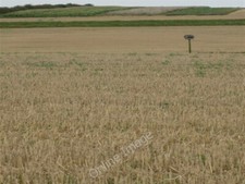 Photo 6x4 Little house on the prairie Stainton le Vale Barn owl nest box  c2009