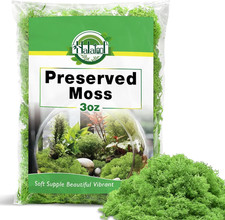 Preserved Reindeer Moss for Crafts, Green Moss for Terrariums, Fairy Gardens, DI