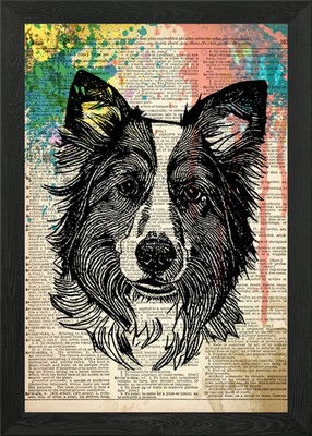 Border Collie Hund Kunst Gerahmtes Wandbild Poster Leinwanddruck Bild
