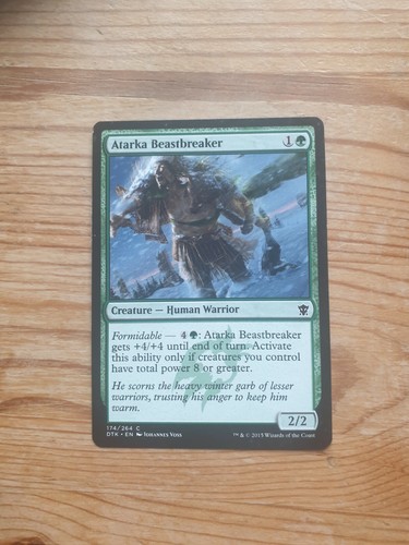 Magic: The Gathering Singles - Dragons of Tarkir - DTK - Wizards of the Coast - Bild 30 von 38
