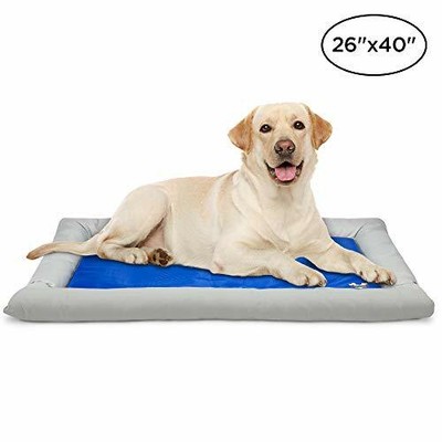 dog cooling bed