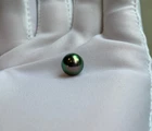 8-9MM NATURAL TAHITIAN GENUINE GREEN LOOSE PEARL UNDRILLED 0888AAA