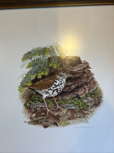 Don Whitlatch Nature Print - Signed - 988/1500 , ready to hang