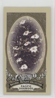 2009-10 Upper Deck Champ's Natural History Collection Pacific Dogwood #499 d4e