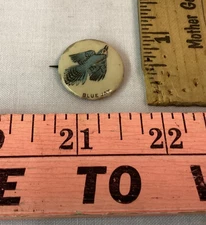 Vintage Celluloid Pinback Button BIRD Pin Back Button BLUE JAY Whitehead & Hoag