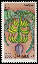 SOMALIA Mi 610 - Banane "Musa x paradisiaca" (pb58203)